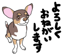 KURI, cute CHIHUAHUA sticker #13495726