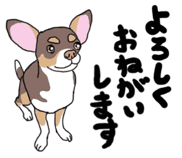 KURI, cute CHIHUAHUA sticker #13495726