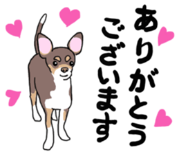 KURI, cute CHIHUAHUA sticker #13495727