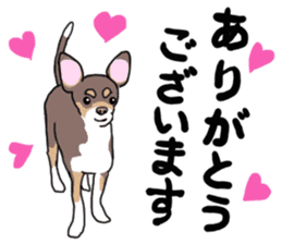 KURI, cute CHIHUAHUA sticker #13495727