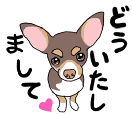 KURI, cute CHIHUAHUA sticker #13495728