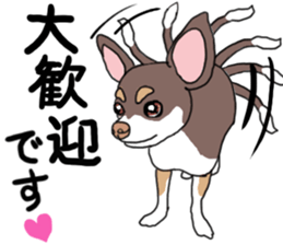 KURI, cute CHIHUAHUA sticker #13495729