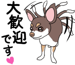 KURI, cute CHIHUAHUA sticker #13495729