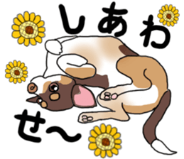 KURI, cute CHIHUAHUA sticker #13495731