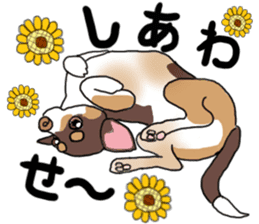 KURI, cute CHIHUAHUA sticker #13495731