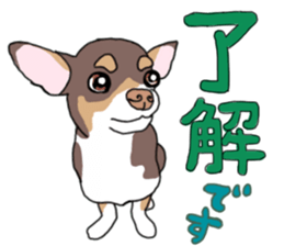 KURI, cute CHIHUAHUA sticker #13495734