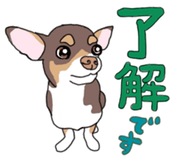 KURI, cute CHIHUAHUA sticker #13495734