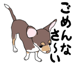 KURI, cute CHIHUAHUA sticker #13495735