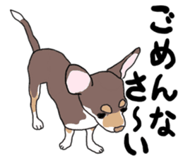 KURI, cute CHIHUAHUA sticker #13495735