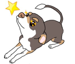 KURI, cute CHIHUAHUA sticker #13495736