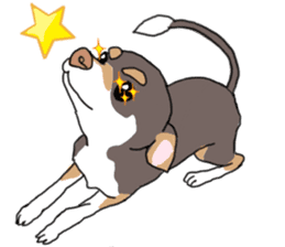 KURI, cute CHIHUAHUA sticker #13495736