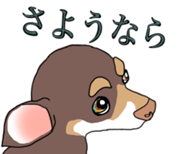 KURI, cute CHIHUAHUA sticker #13495737