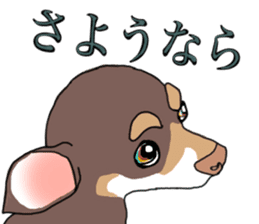 KURI, cute CHIHUAHUA sticker #13495737