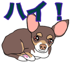 KURI, cute CHIHUAHUA sticker #13495738