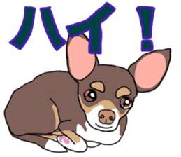 KURI, cute CHIHUAHUA sticker #13495738