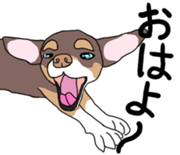 KURI, cute CHIHUAHUA sticker #13495740