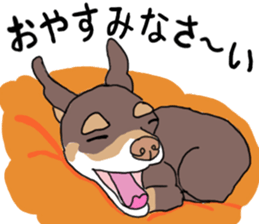 KURI, cute CHIHUAHUA sticker #13495741
