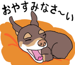 KURI, cute CHIHUAHUA sticker #13495741