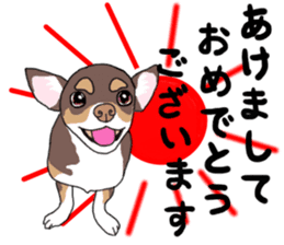 KURI, cute CHIHUAHUA sticker #13495742