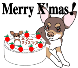 KURI, cute CHIHUAHUA sticker #13495744