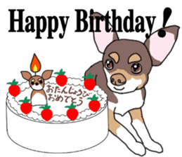 KURI, cute CHIHUAHUA sticker #13495745