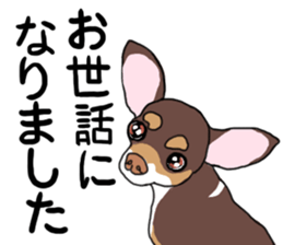 KURI, cute CHIHUAHUA sticker #13495750