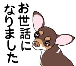 KURI, cute CHIHUAHUA sticker #13495750