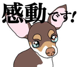KURI, cute CHIHUAHUA sticker #13495751