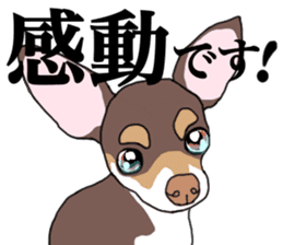 KURI, cute CHIHUAHUA sticker #13495751