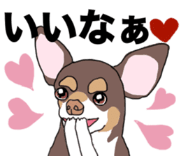KURI, cute CHIHUAHUA sticker #13495753