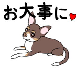KURI, cute CHIHUAHUA sticker #13495755
