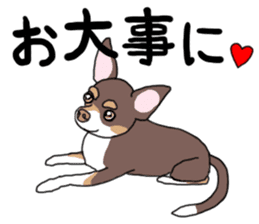 KURI, cute CHIHUAHUA sticker #13495755
