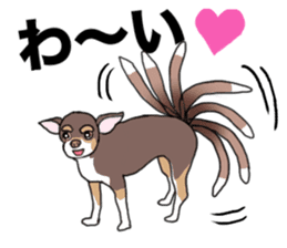 KURI, cute CHIHUAHUA sticker #13495757