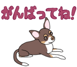 KURI, cute CHIHUAHUA sticker #13495758