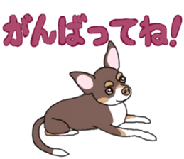 KURI, cute CHIHUAHUA sticker #13495758