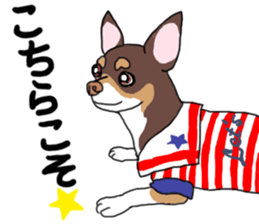 KURI, cute CHIHUAHUA sticker #13495760