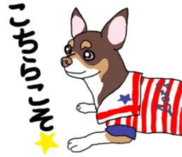 KURI, cute CHIHUAHUA sticker #13495760