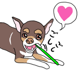 KURI, cute CHIHUAHUA sticker #13495762