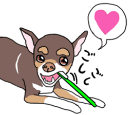 KURI, cute CHIHUAHUA sticker #13495762