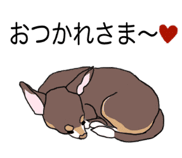 KURI, cute CHIHUAHUA sticker #13495763