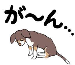 KURI, cute CHIHUAHUA sticker #13495764