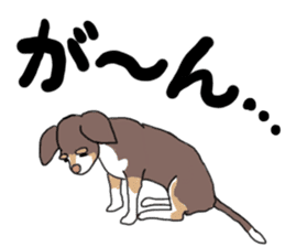 KURI, cute CHIHUAHUA sticker #13495764