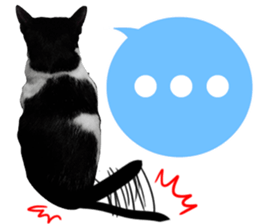 AeAew Hardcore Cat (ENG) sticker #13495771