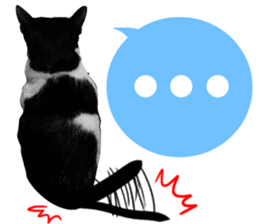 AeAew Hardcore Cat (ENG) sticker #13495771