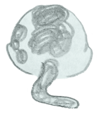 CHOBIHIKO the cat sticker #13496240