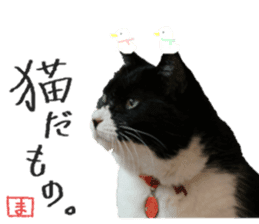 Boss cat "MATUKO" sticker #13496663