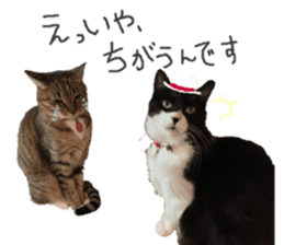 Boss cat "MATUKO" sticker #13496664