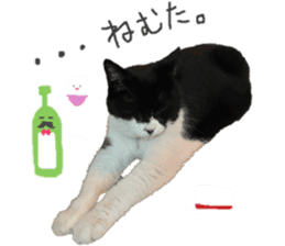 Boss cat "MATUKO" sticker #13496665