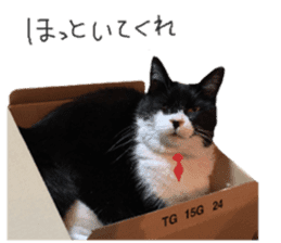 Boss cat "MATUKO" sticker #13496666