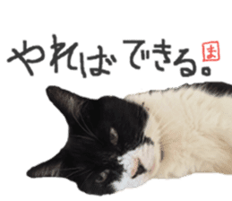 Boss cat "MATUKO" sticker #13496669